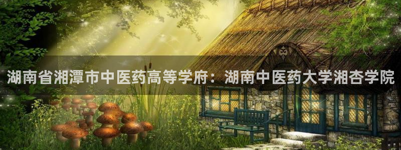 九游会是ag吗