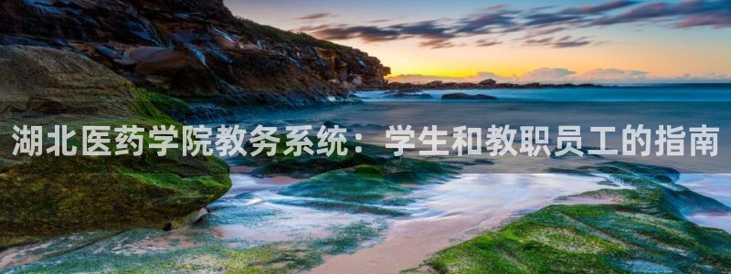 九游会视讯,九游会视讯厅
