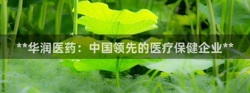 九游会官网真人认证吗知乎