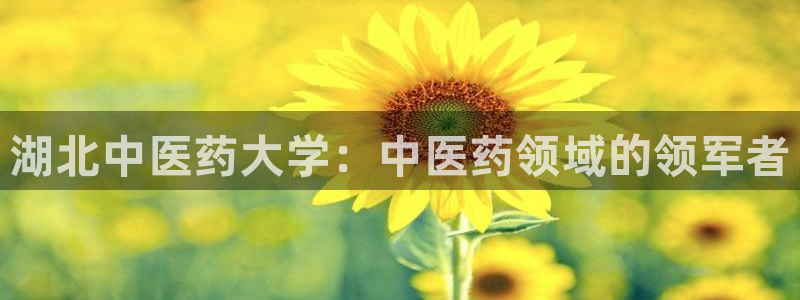九游会j9官网网站