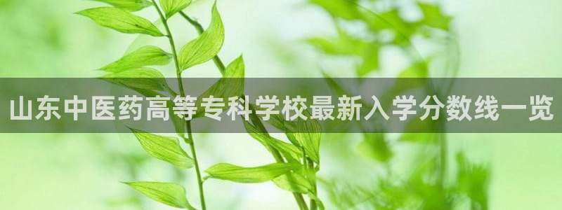 九游会 app
