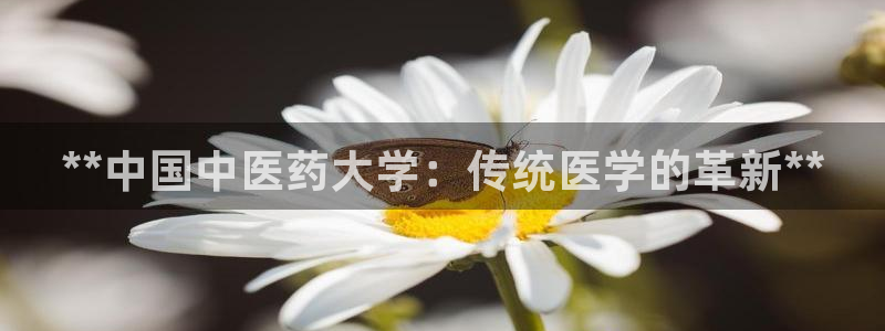 J9九游会九游国际版
