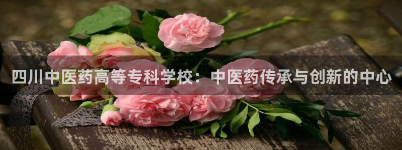 J9九游会是干嘛的