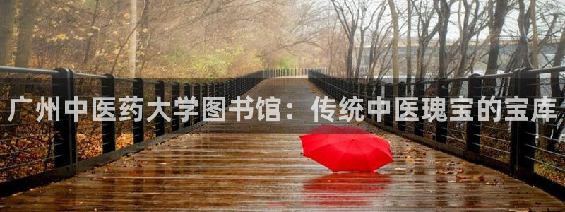 j9九游会入口