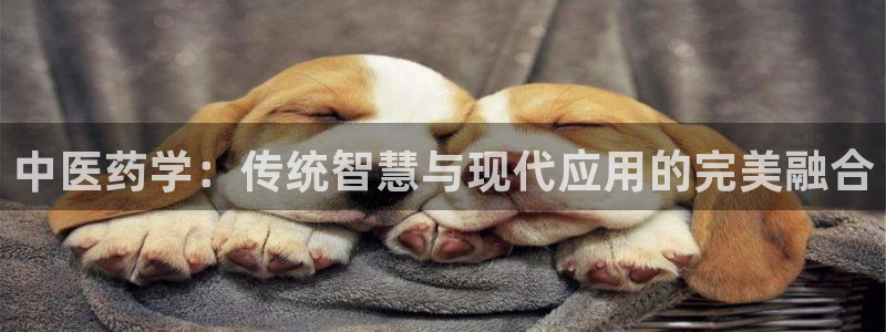九游会老哥俱乐部官网