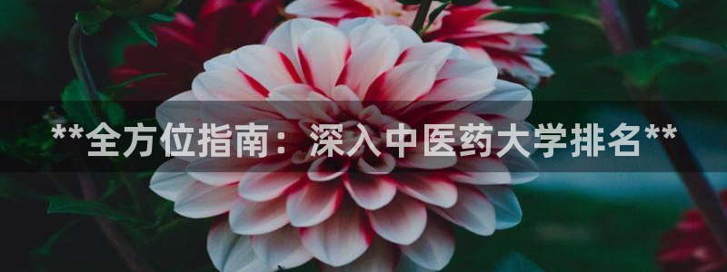 j9九游会app官方下载