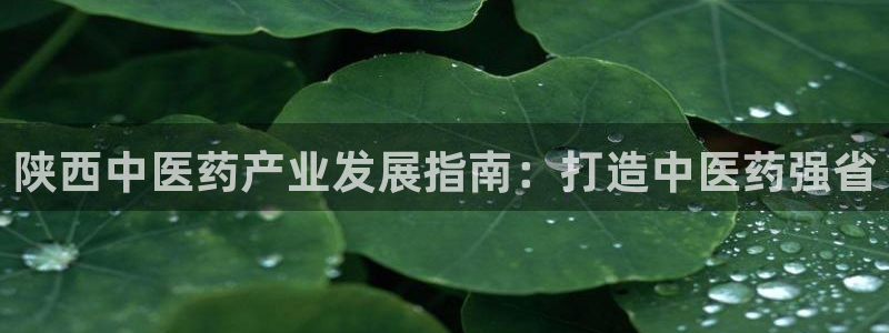 九游会官网在线