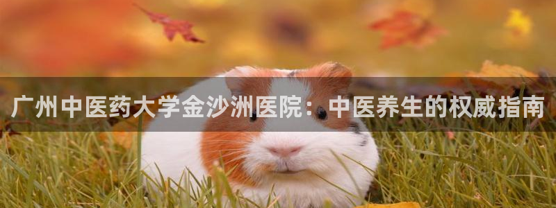 九游会网址在线玩