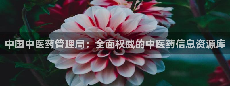九游会J9官网入口