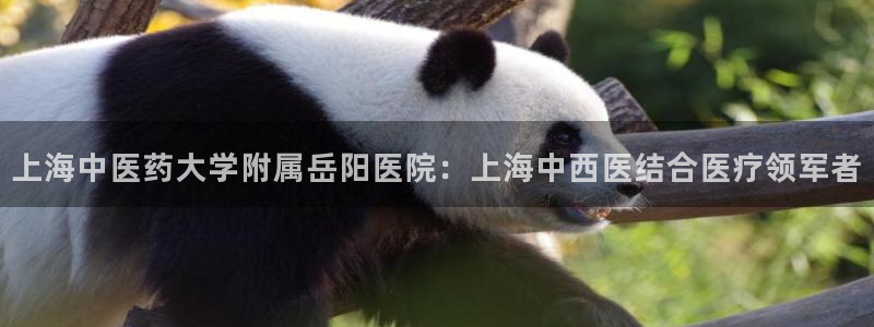 j9九游会中国