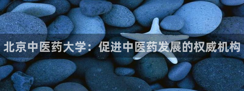 九游会AG登录中心(中国)官方网站