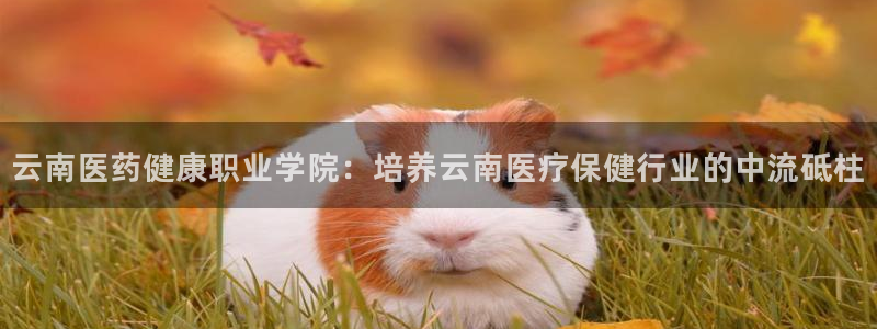 j9九游会老哥俱乐部 - 九游会