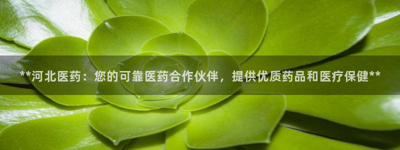 j9九游会官方网站国际