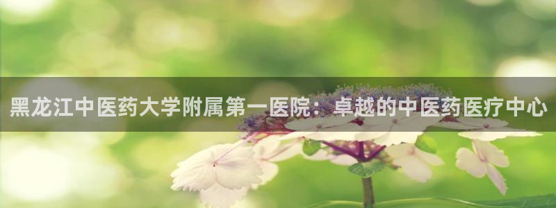 j9九游会首页入口