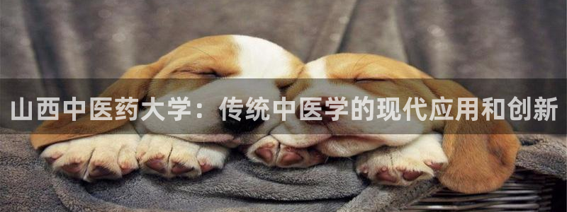 九游会AG登录