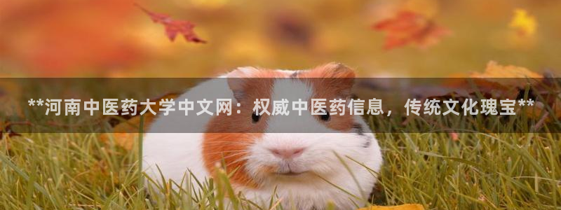 九游会老哥必备的交流社区九