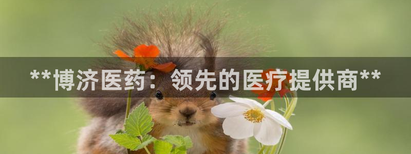 j9九游会官方网站