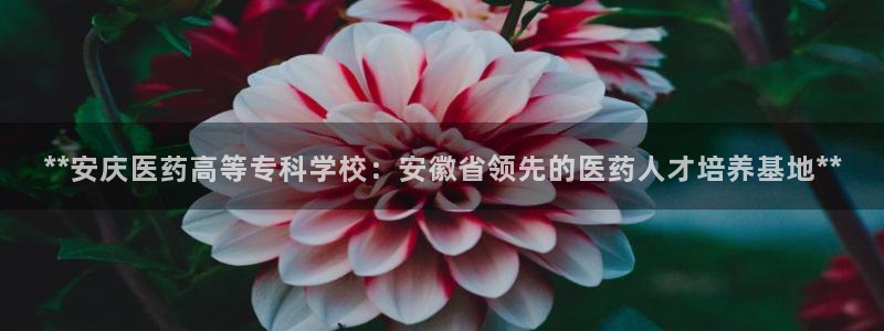 j9363九游会首页
