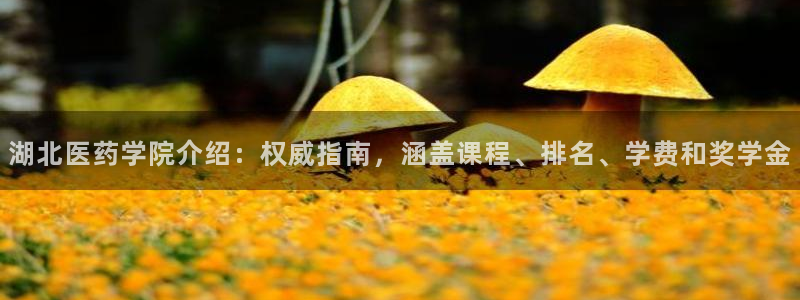 九游会ag私享