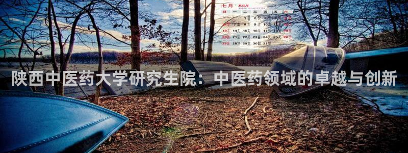 j9九游会登录入口首页新版