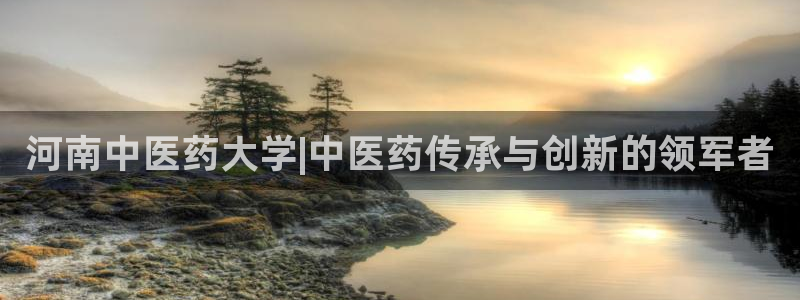 九游会是ag吗