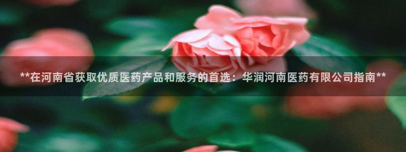 j9九游会官网
