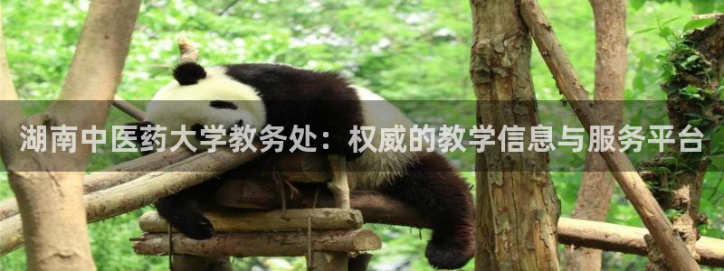 九游会网址jn109
