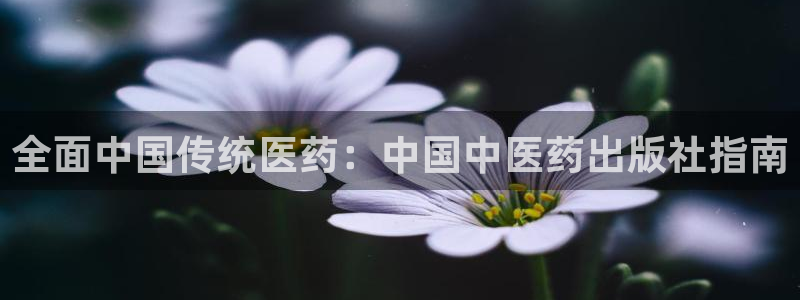 九游会官方视讯