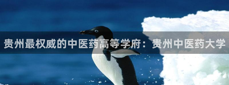 九游会usdt