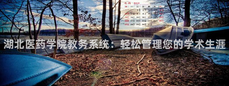九游会官网首页进入吗