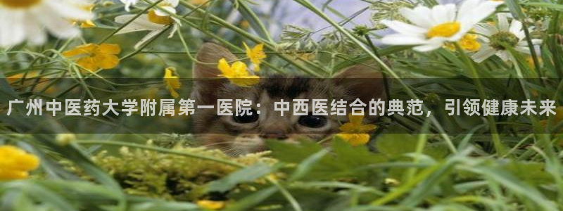 九游会口碑怎么样