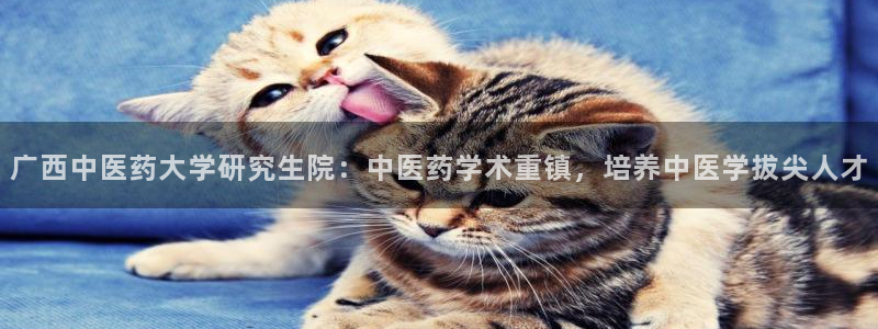 J9九游会俱乐部官方