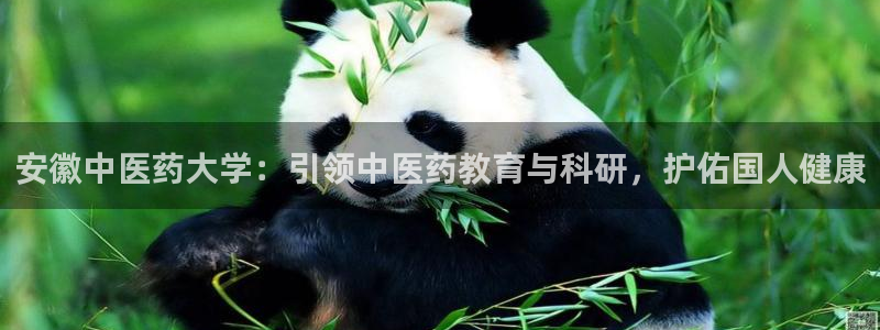 九游j9打不开
