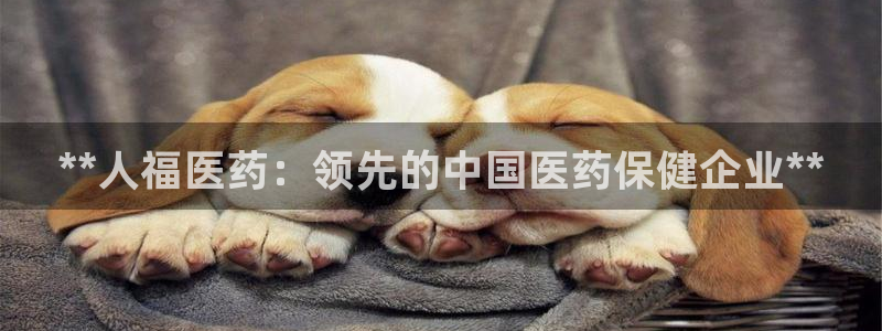 J9九游会九游国际版