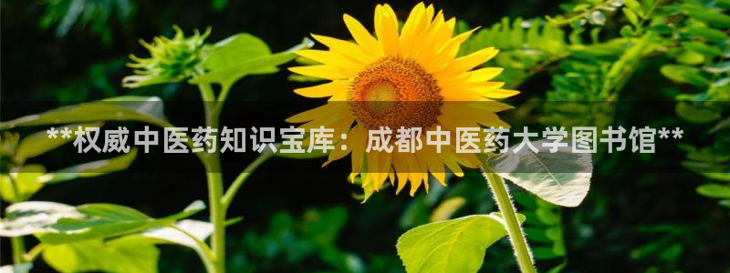 九游会是干嘛的