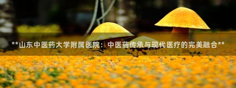 ag老玩家