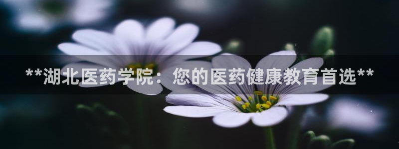 九游会官网APP平台