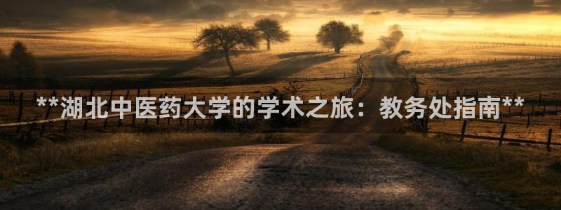 九游会vip