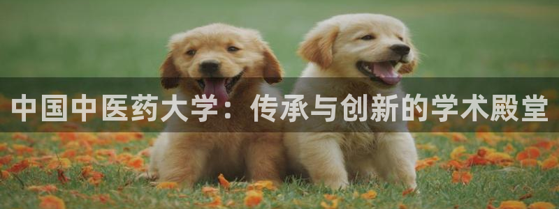 九游会官网站