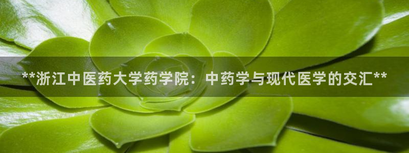 j9九游会app下载