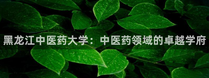 登陆九游会