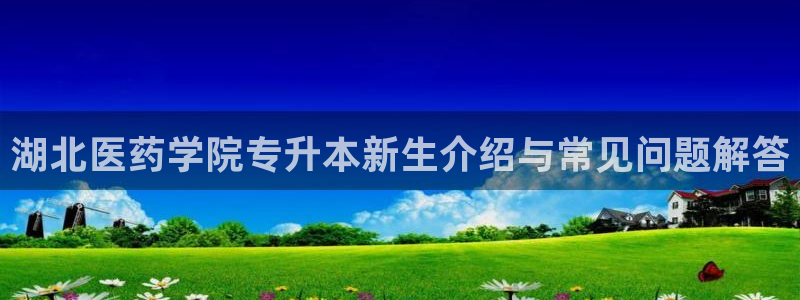 九游会ag亚洲