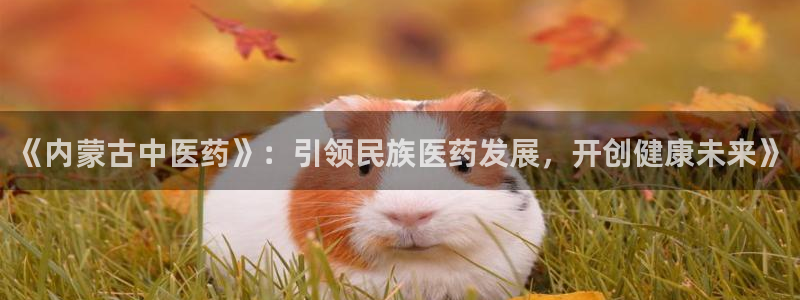 ag九游会登录j9入口