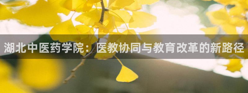 九游会j9全站平台