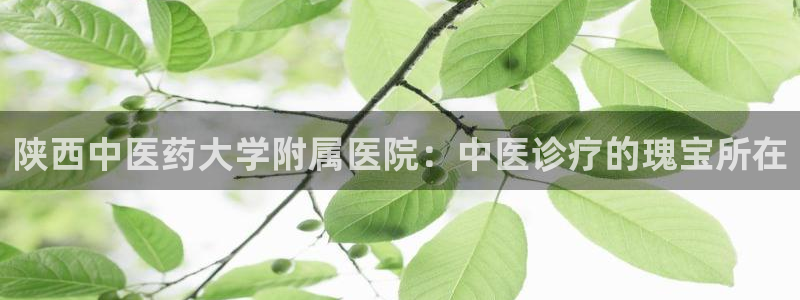 九游会AG注册送388