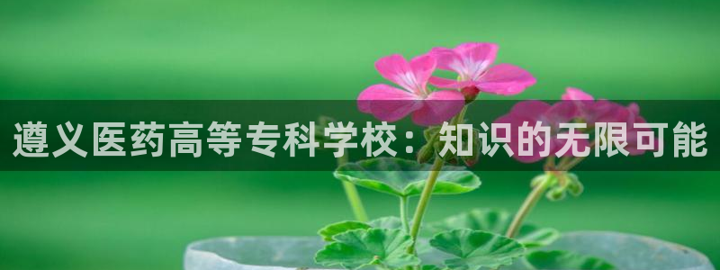 ag久游
