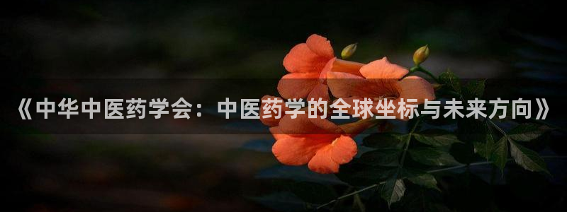 九游会是大平台吗