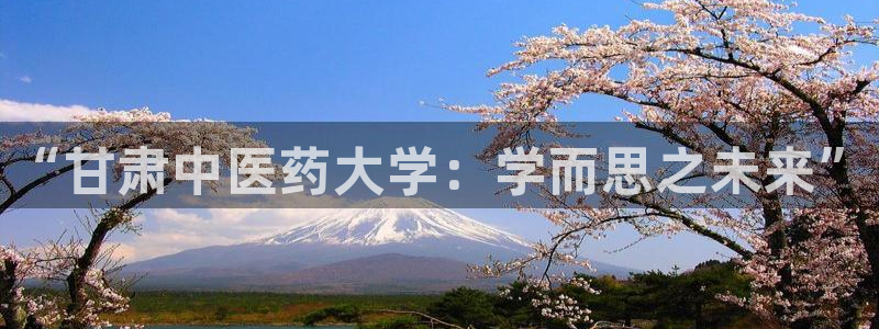 九游会是干嘛的软件