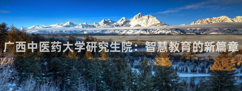 j9九游会导航