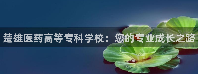 九游会视讯,九游会视讯官网